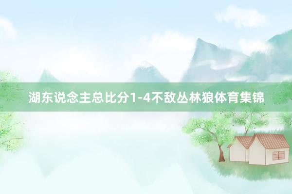 湖东说念主总比分1-4不敌丛林狼体育集锦
