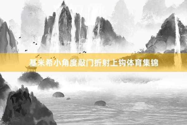 基米希小角度敲门折射上钩体育集锦