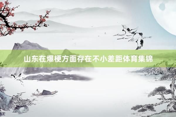 山东在爆梗方面存在不小差距体育集锦
