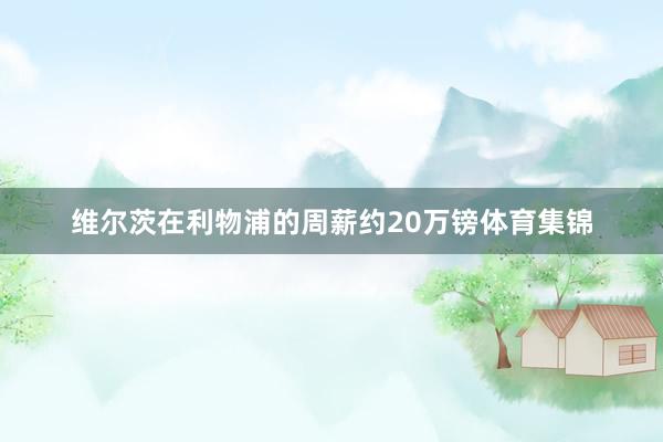 维尔茨在利物浦的周薪约20万镑体育集锦