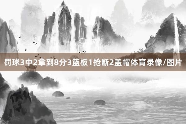 罚球3中2拿到8分3篮板1抢断2盖帽体育录像/图片