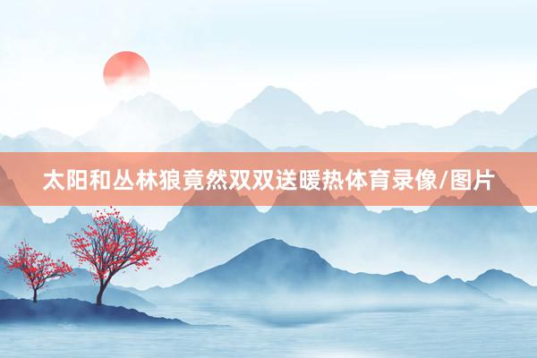 太阳和丛林狼竟然双双送暖热体育录像/图片