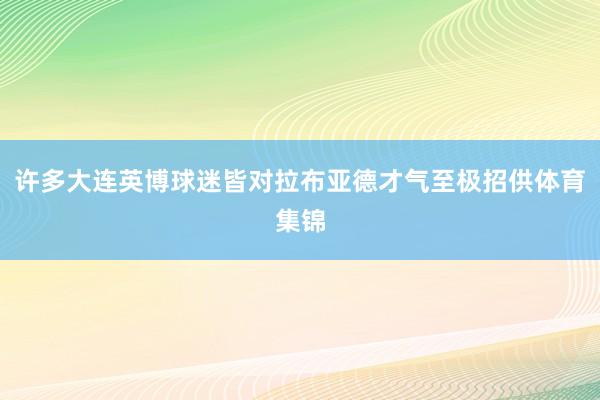 许多大连英博球迷皆对拉布亚德才气至极招供体育集锦