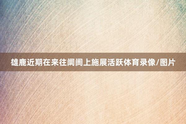 雄鹿近期在来往阛阓上施展活跃体育录像/图片